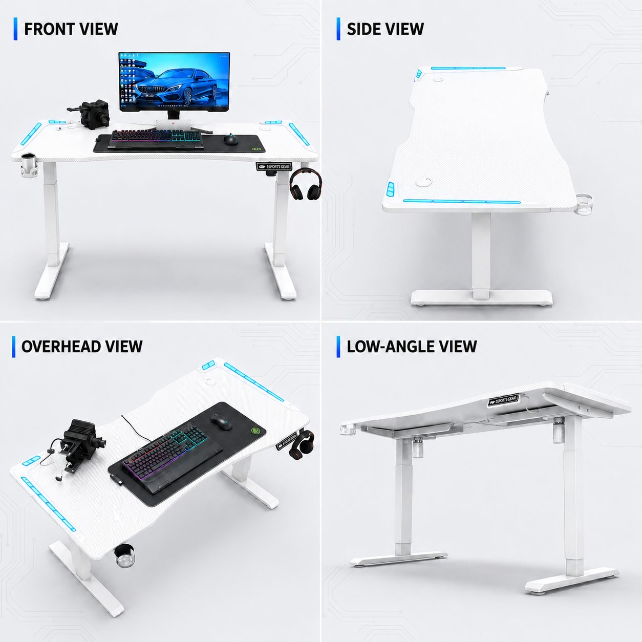 Electric Standing Desk with RGB Lighting -Black/White